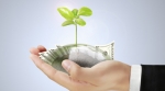 Hands holding money and tree Hands holding money and tree