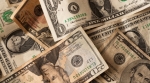 a pile of dollars a pile of dollars
