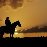 Cowboy silhouette Cowboy silhouette