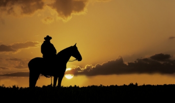 Cowboy silhouette Cowboy silhouette