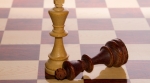 defeated king in chess defeated king in chess