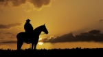 Cowboy silhouette Cowboy silhouette