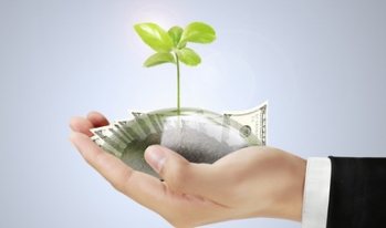 Hands holding money and tree Hands holding money and tree