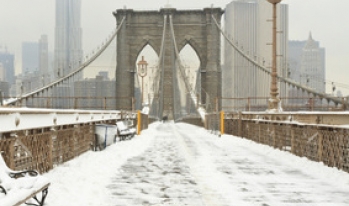 Snowed in New York Snowed in New York