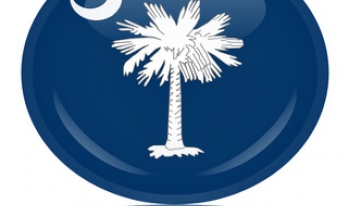 South Carolina state flag in a circle South Carolina state flag in a circle