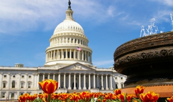 capitol hill building with flowers and a fountain capitol hill building with flowers and a fountain
